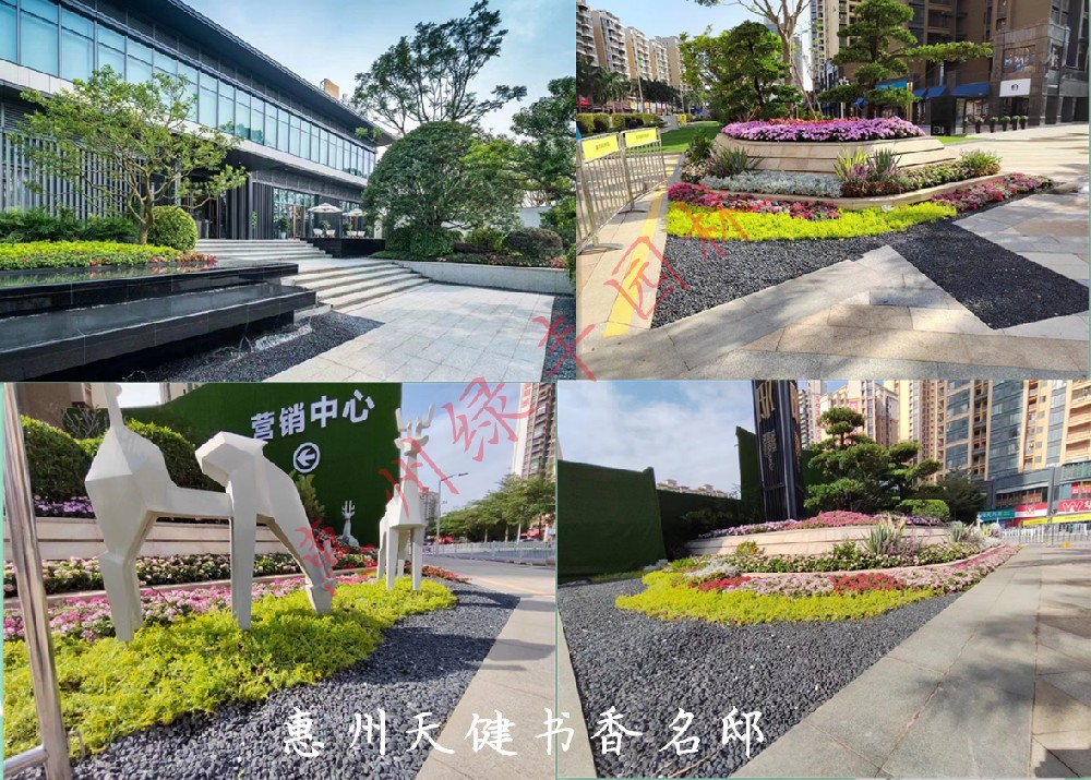 惠州园林绿化